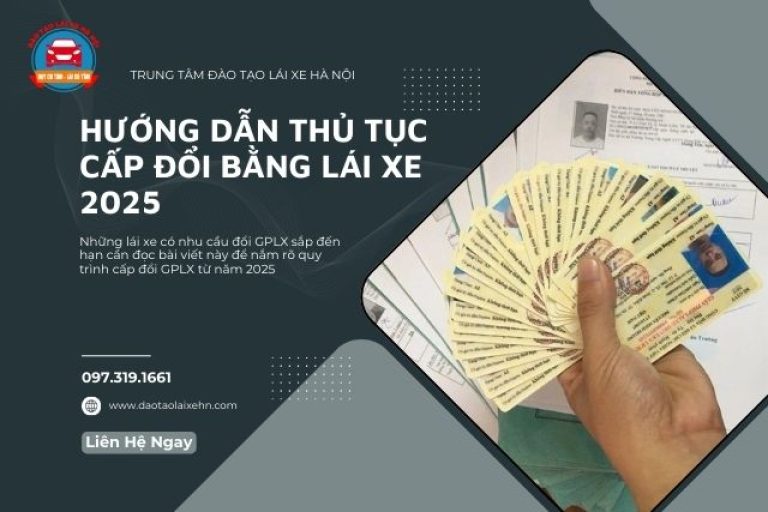Hướng Dẫn Thủ Tục Cấp Đổi Bằng Lái Xe 2025