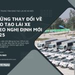 Tổng Quan Đào Tạo Lái Xe Theo Nghị Định Mới 2026