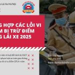 Các Lỗi Vi Phạm Bị Trừ Điểm Bằng Lái Xe Từ Năm 2026
