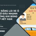 Đổi Bằng Lái Xe Ô Tô Ở Đâu Nhanh Chóng Khi Bằng Sắp Hết Hạn
