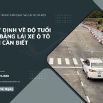 Quy Định Về Độ Tuổi Thi Bằng Lái Xe Ô Tô Bạn Cần Biết