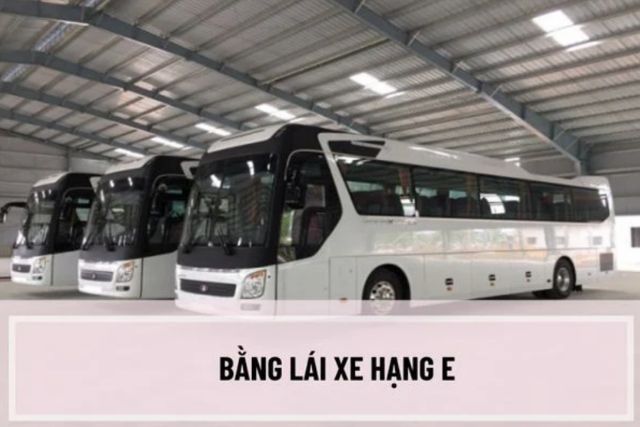 GPLX hạng E khi đổi bằng ở thời điểm hiện tại sẽ chuyển sang bằng D theo quy định mới