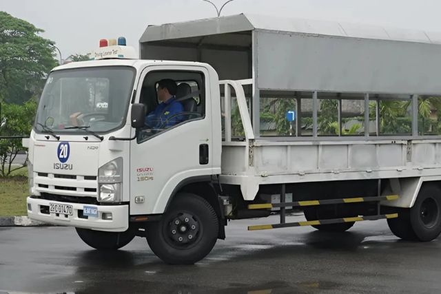 Phân biệt rõ các hạng GPLX giữa bằng B, C và C1