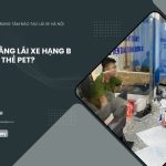 Đổi Bằng Lái Xe Hạng B Sang Thẻ PET: Hướng Dẫn Chi Tiết
